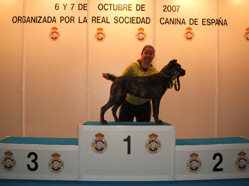 Dans Expo